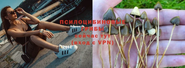 прущие крисы Алагир